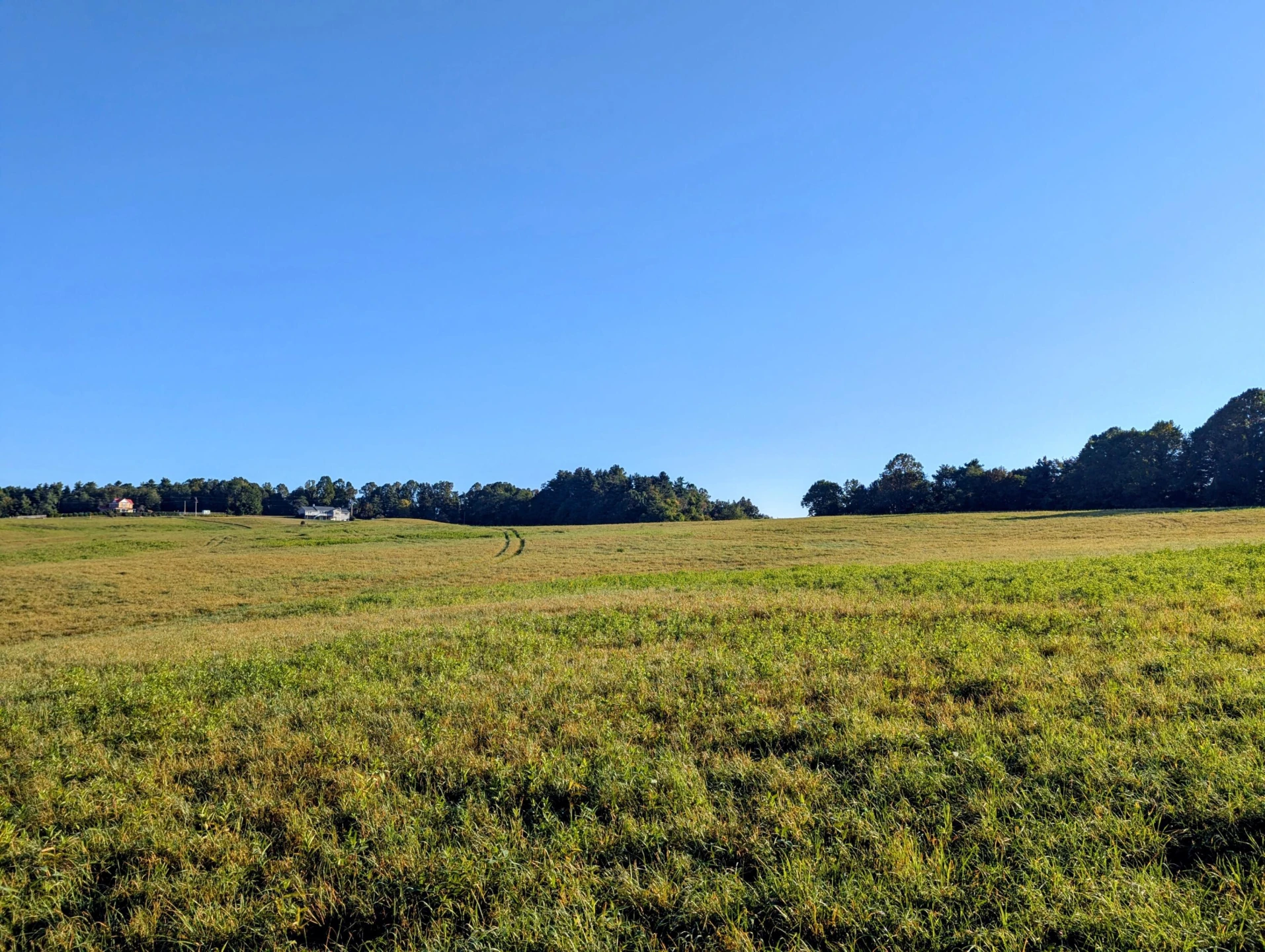 TBD Daniels Run RD - Photo 20