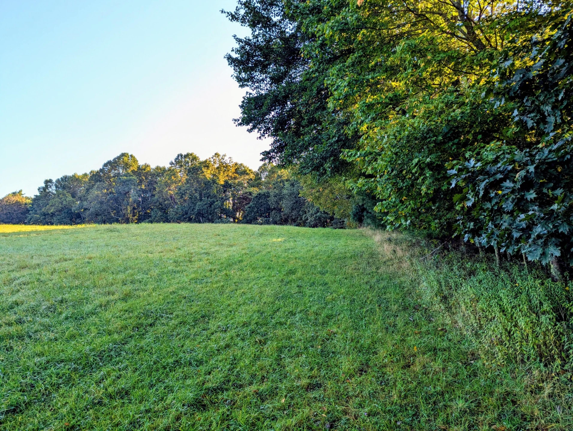 TBD Daniels Run RD - Photo 21