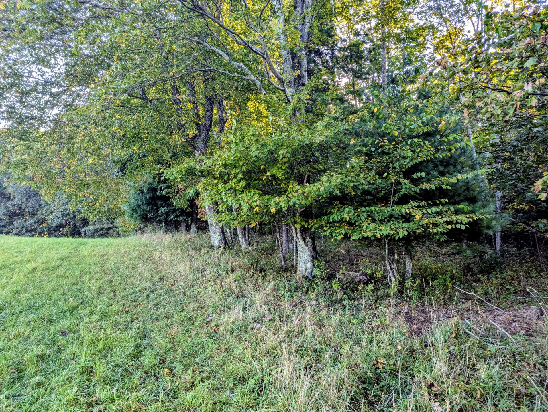 TBD Daniels Run RD - Photo 22