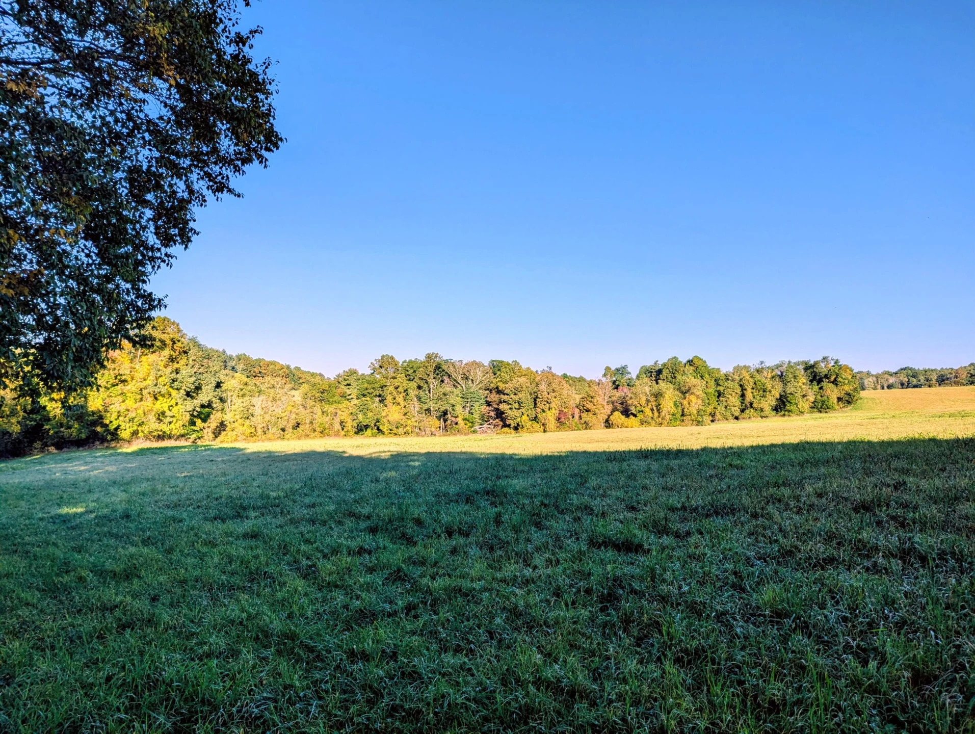 TBD Daniels Run RD - Photo 23