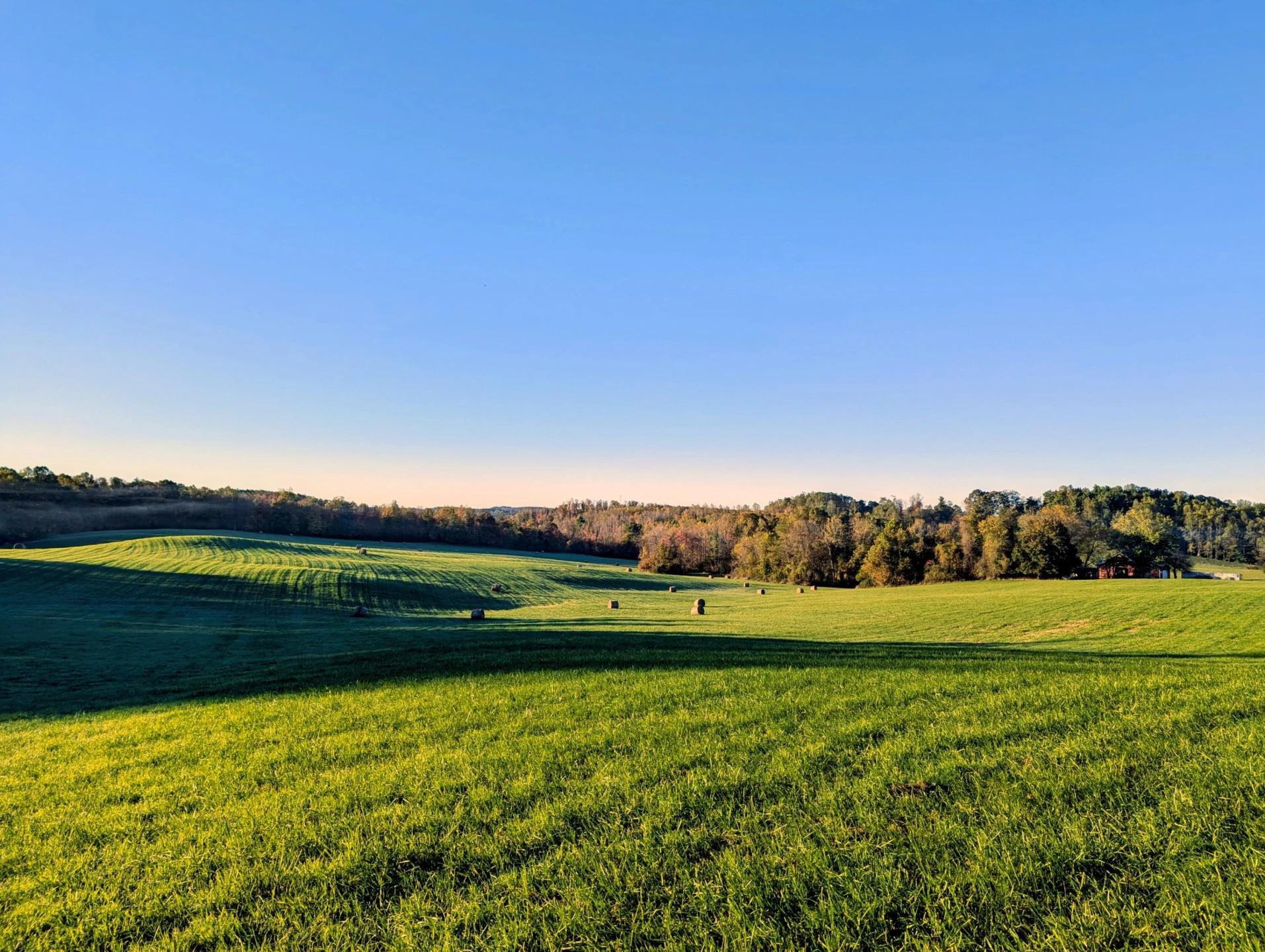 TBD Daniels Run RD - Photo 24