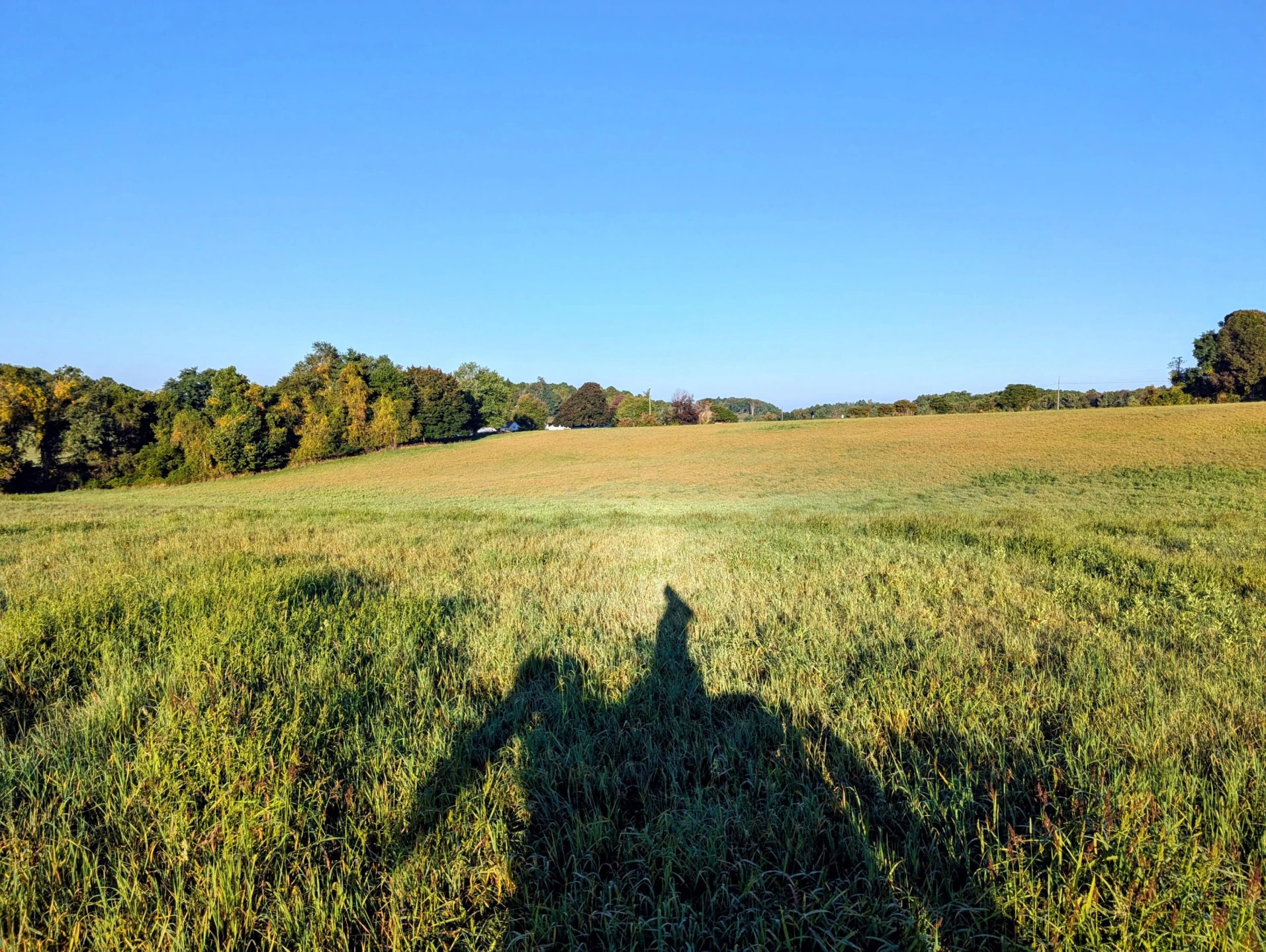 TBD Daniels Run RD - Photo 3