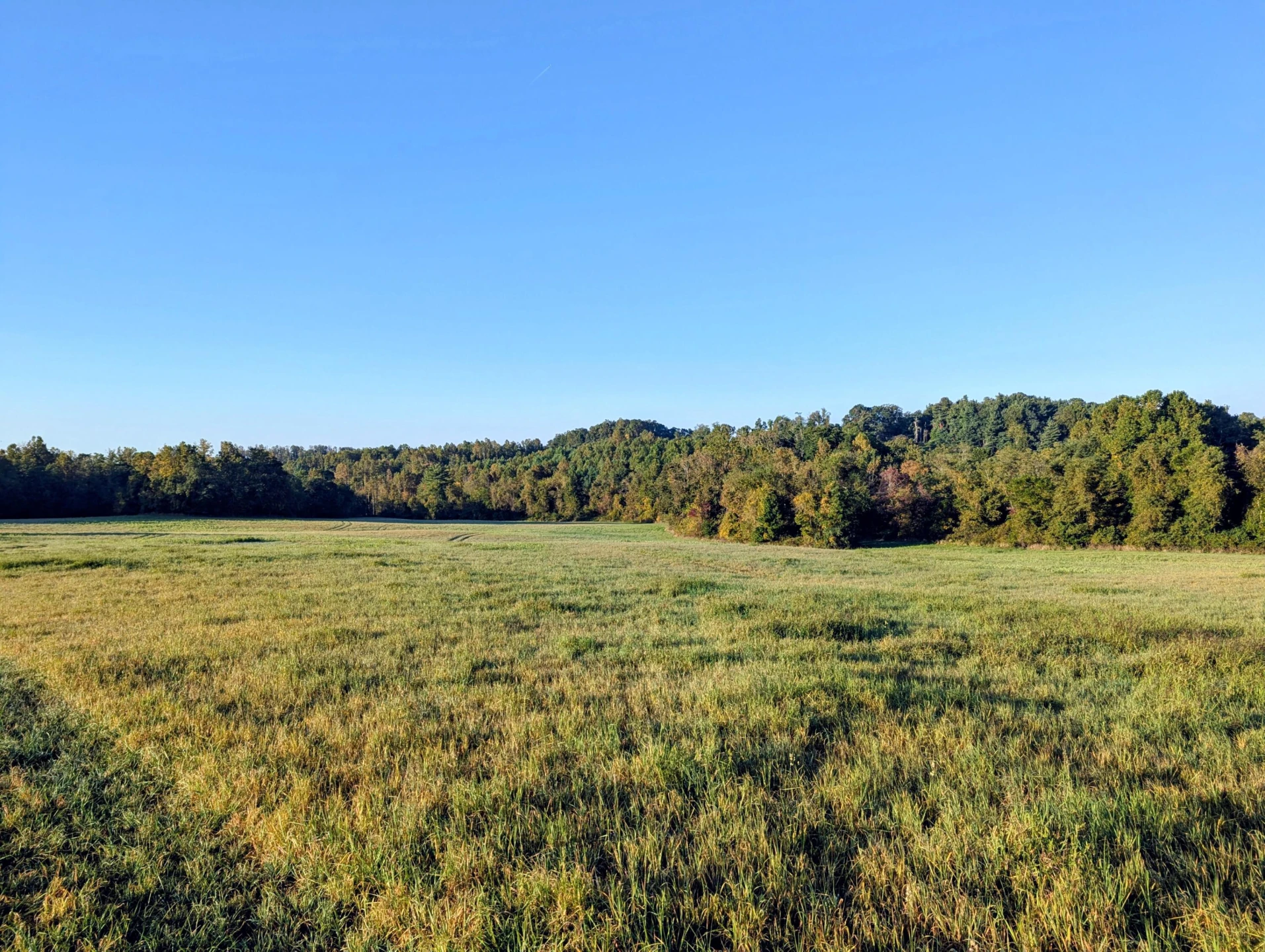 TBD Daniels Run RD - Photo 5