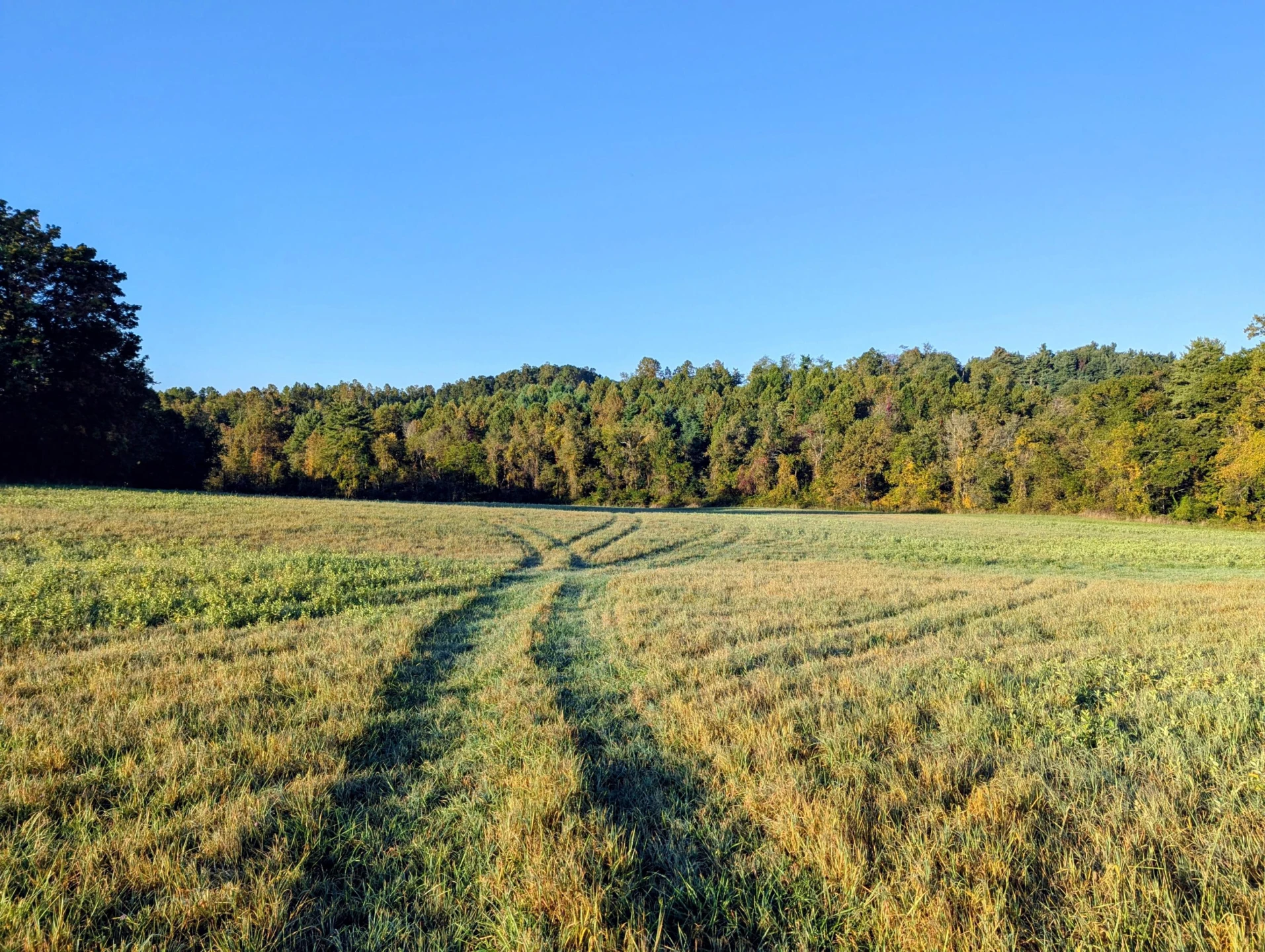 TBD Daniels Run RD - Photo 6