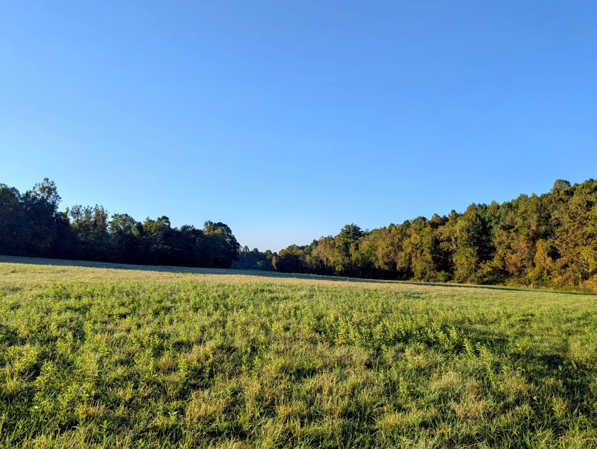 TBD Daniels Run RD - Photo 7