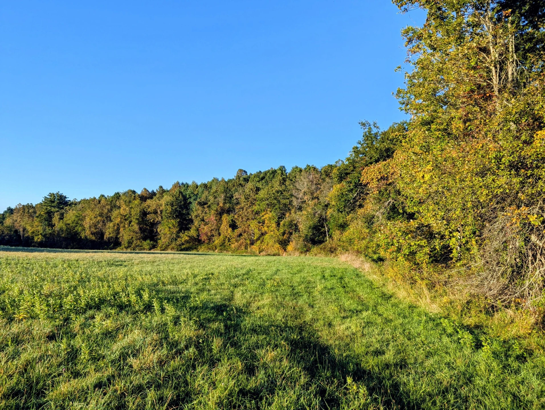 TBD Daniels Run RD - Photo 8