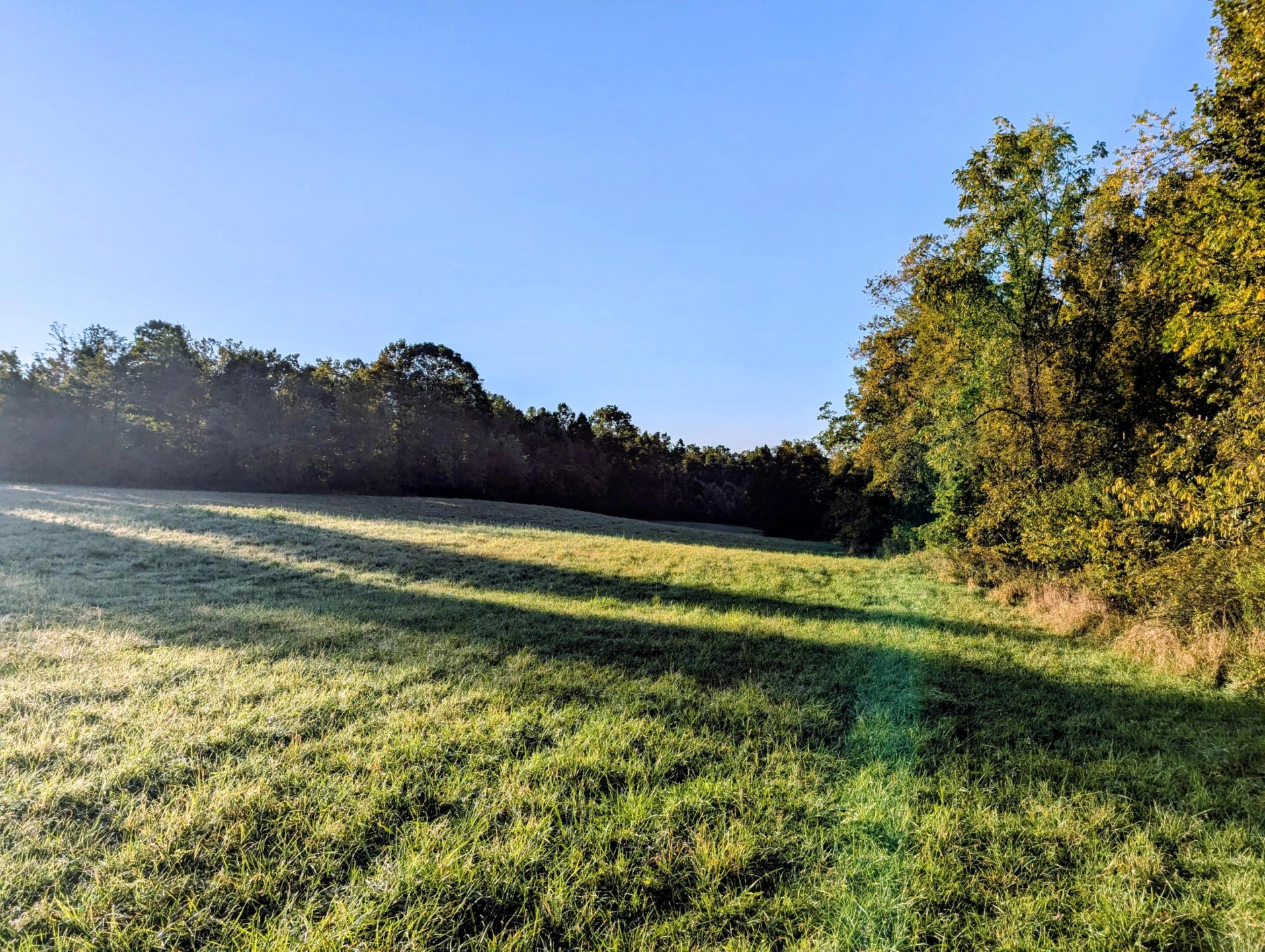 TBD Daniels Run RD - Photo 9