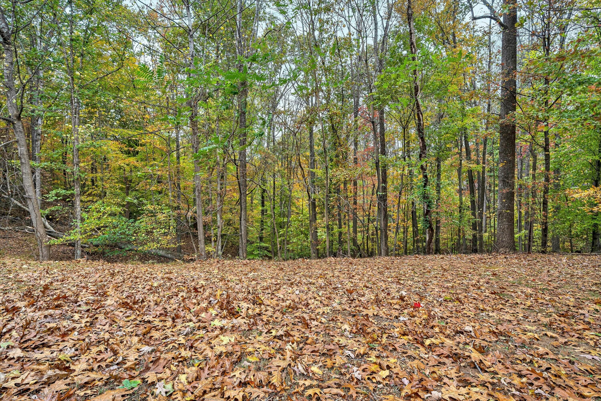 117 Country LN - Photo 31