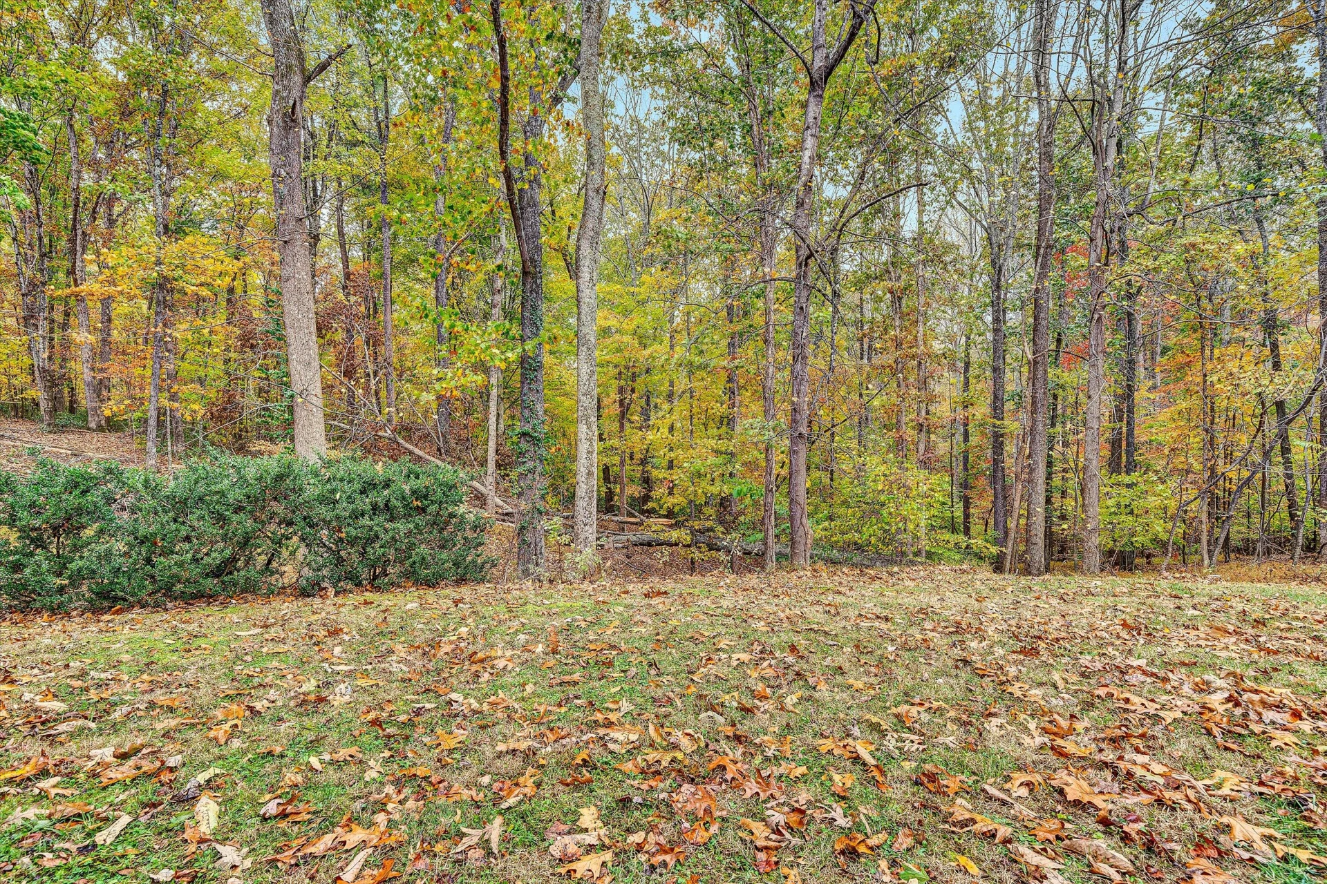 117 Country LN - Photo 32