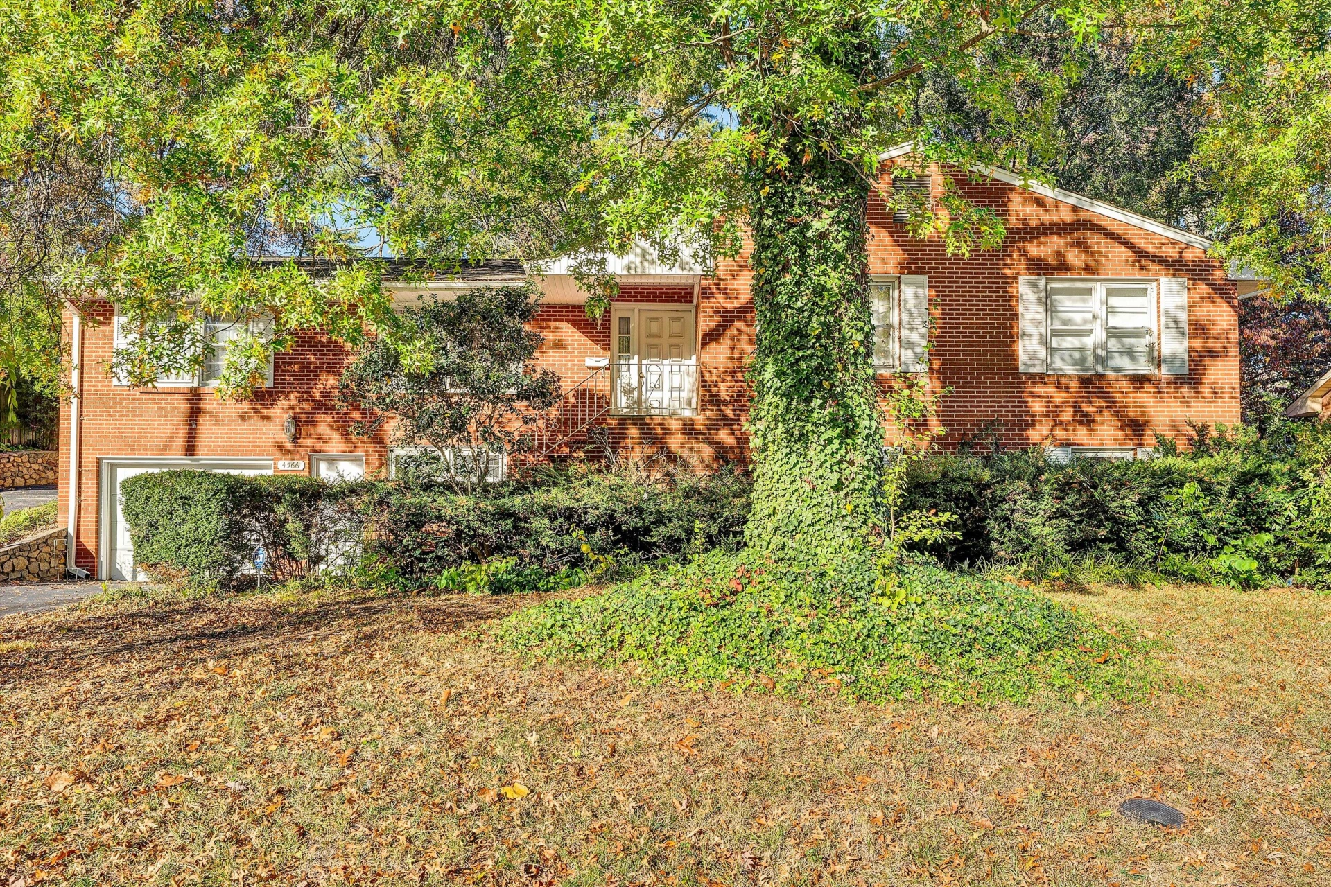 4566 Oakland BLVD NW - Photo 3
