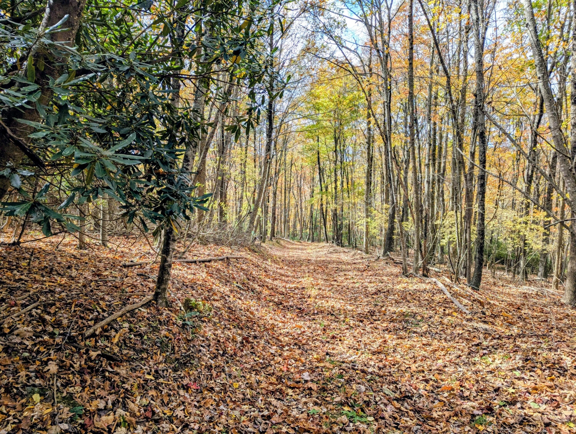 3384 Fairview Church RD - Photo 42