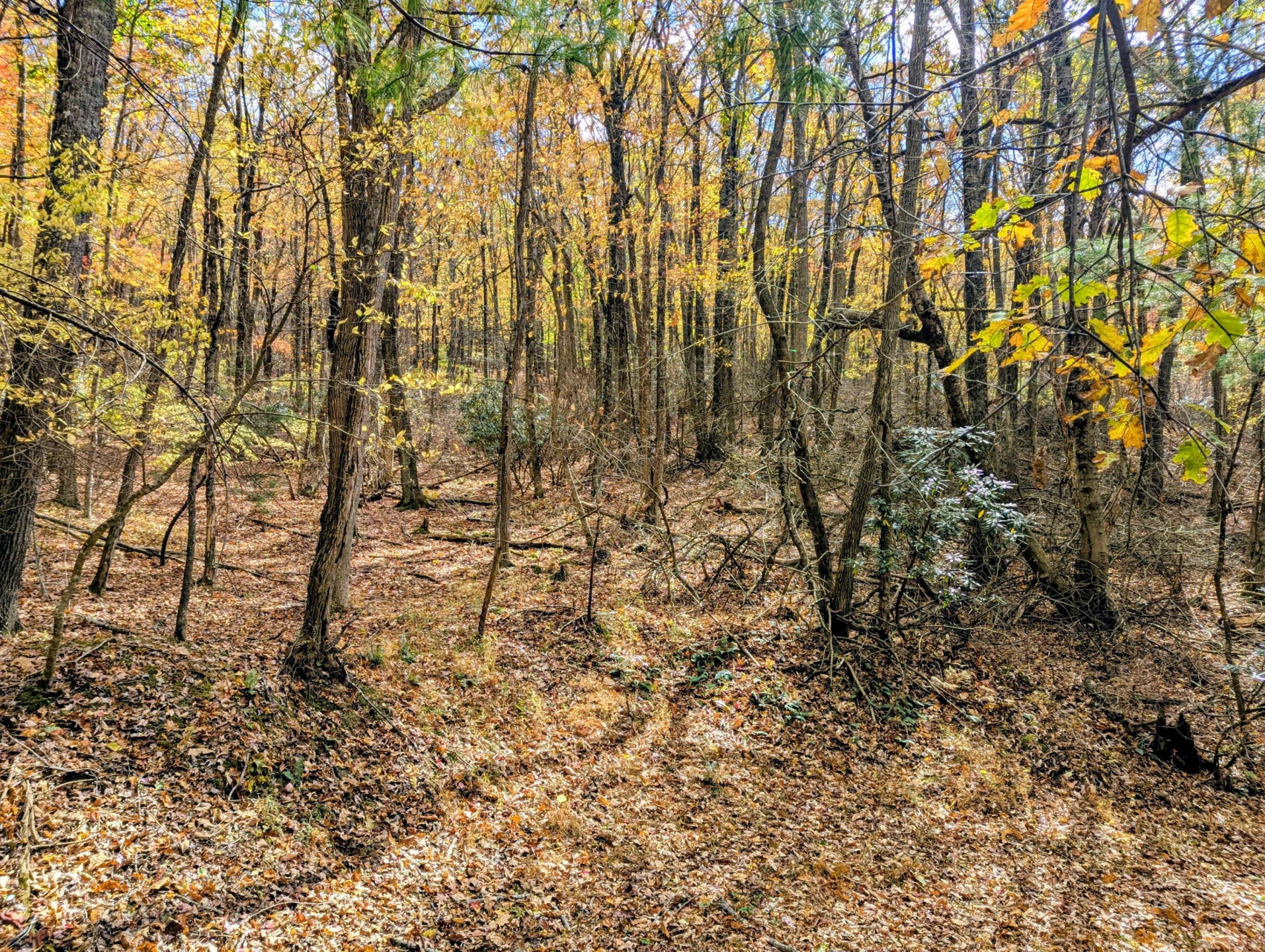 3384 Fairview Church RD - Photo 43