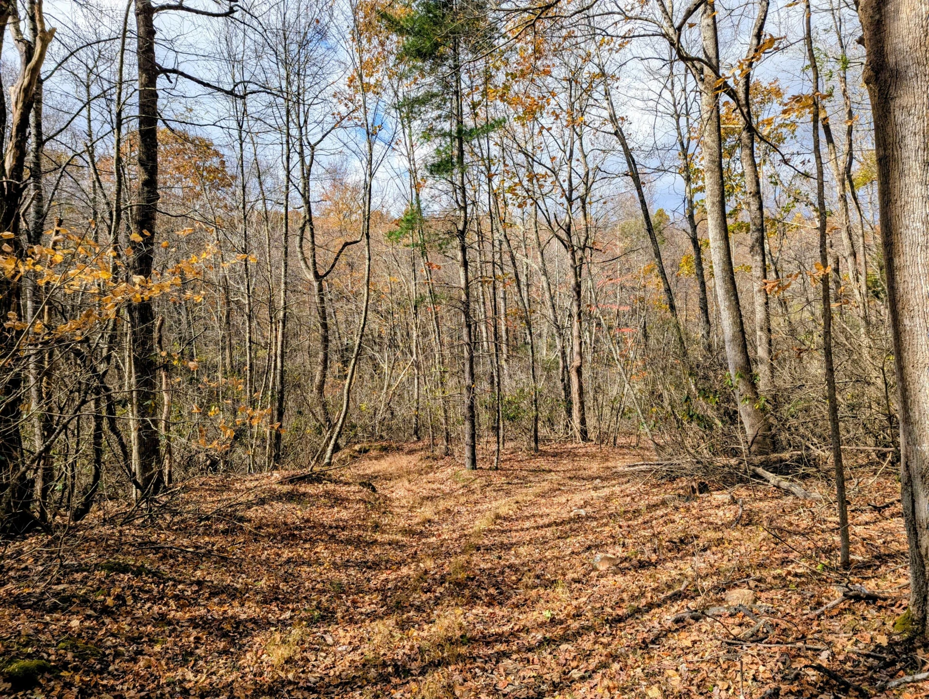 3384 Fairview Church RD - Photo 44