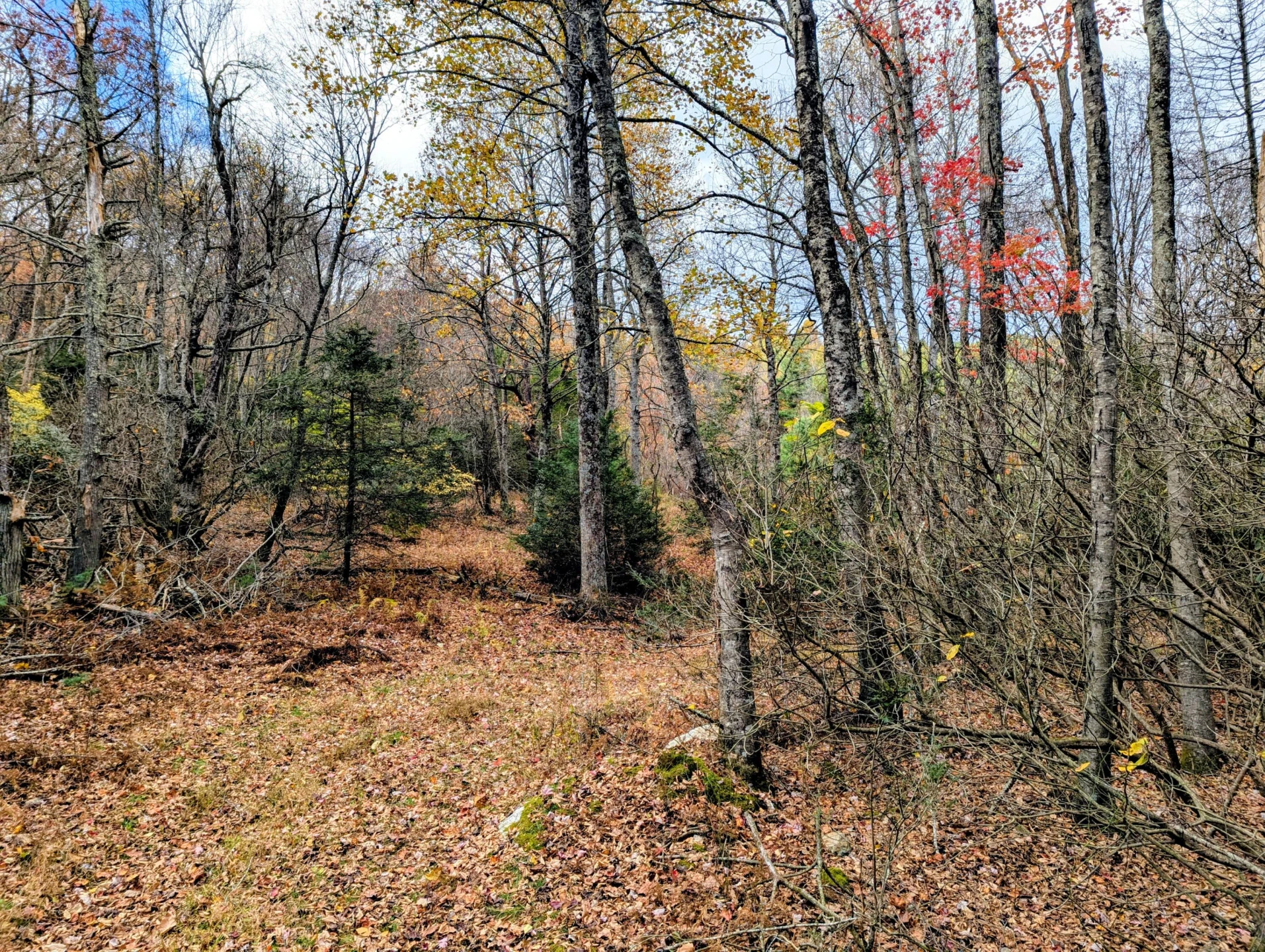 3384 Fairview Church RD - Photo 46