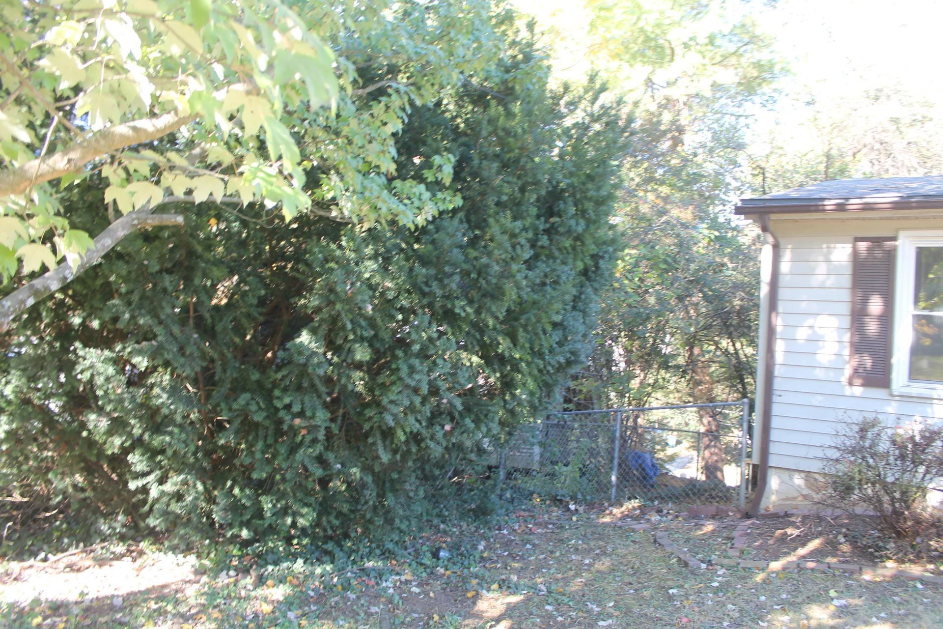 1414 Eastgate AVE NE - Photo 2