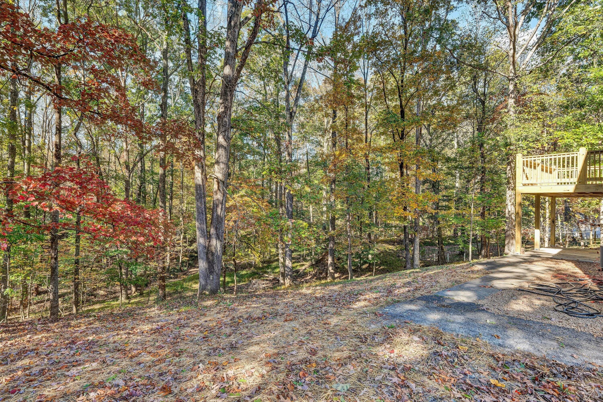 161 Parkview DR - Photo 46