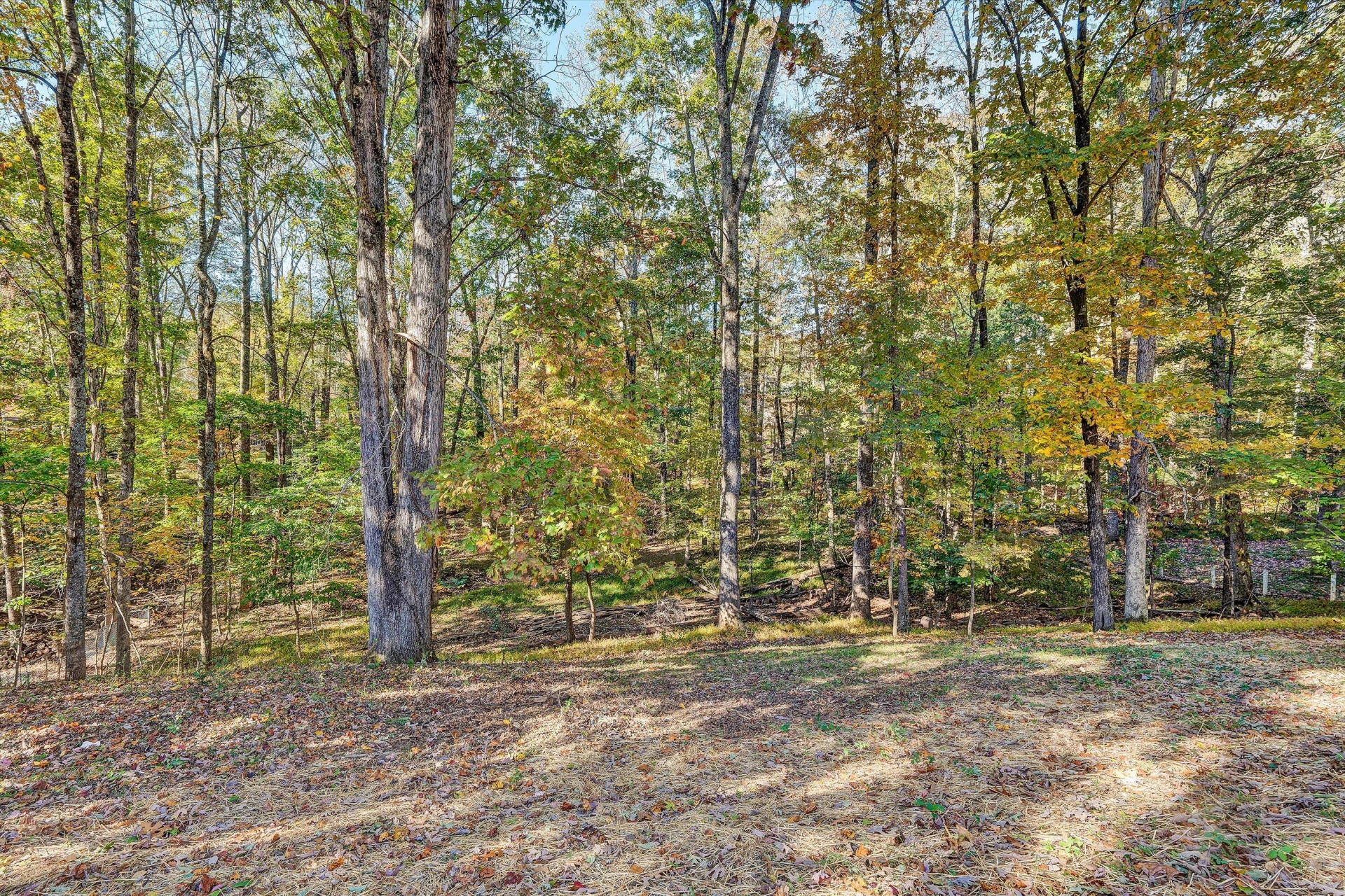 161 Parkview DR - Photo 47