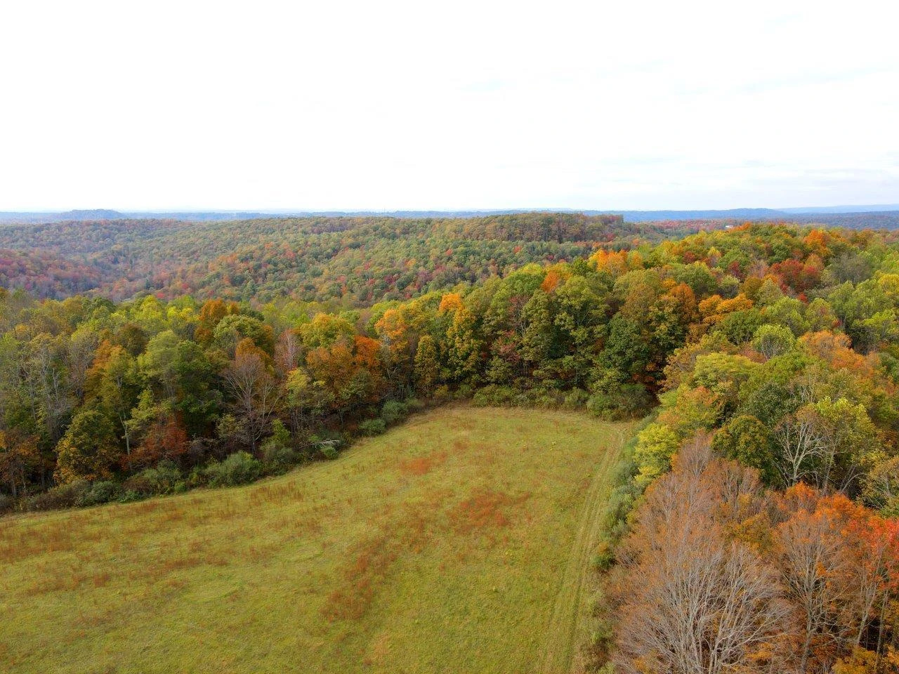 0 Pluto RD - Photo 16