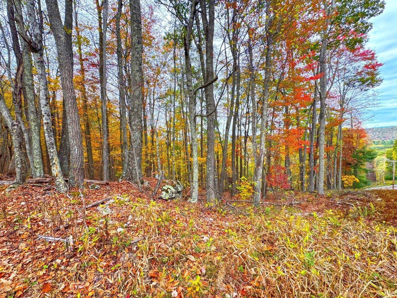 0 Pluto RD - Photo 19