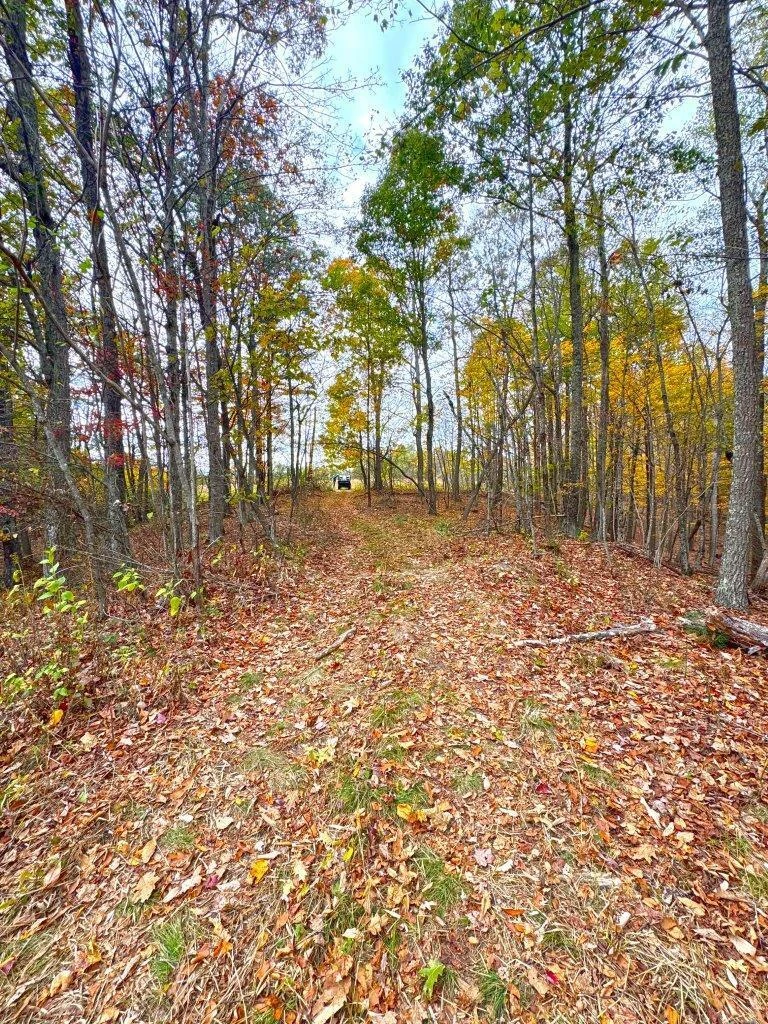 0 Pluto RD - Photo 20