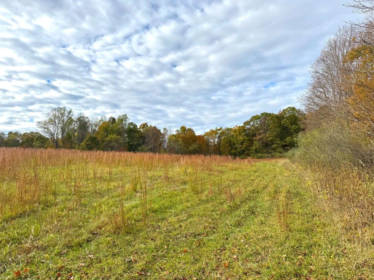 0 Pluto RD - Photo 27