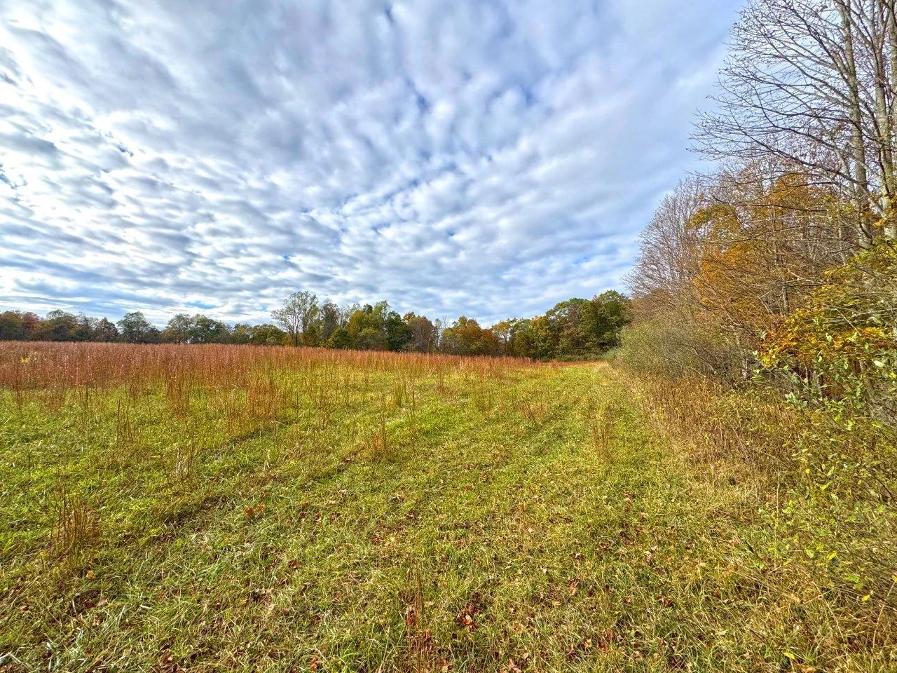 0 Pluto RD - Photo 28