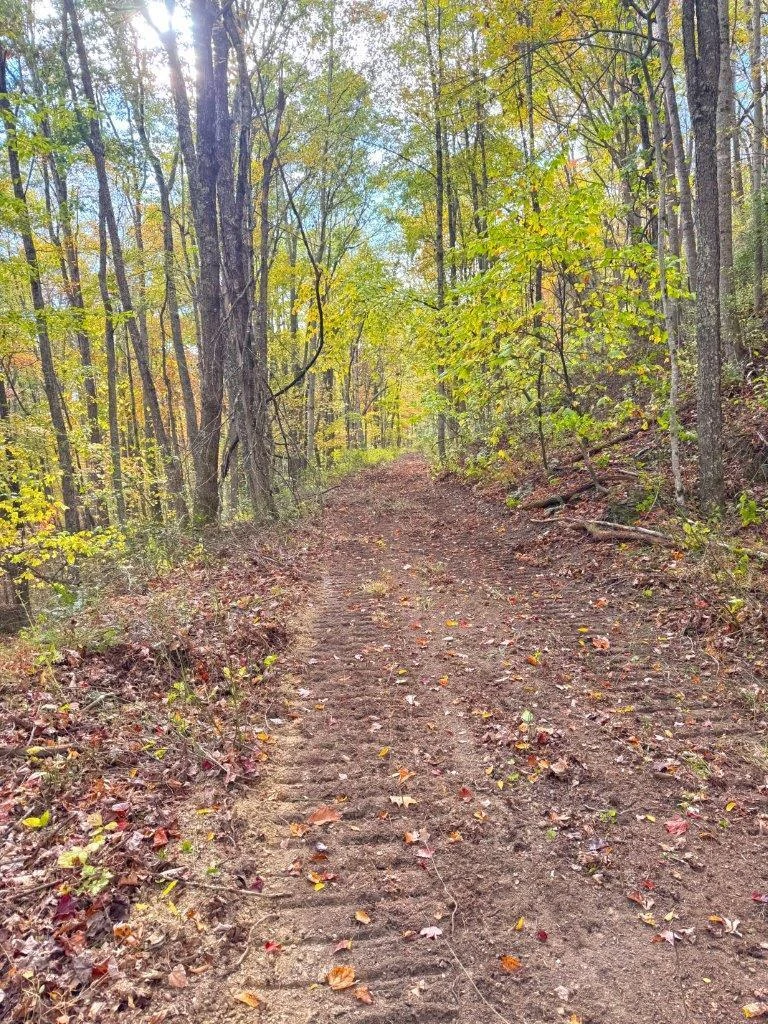 0 Pluto RD - Photo 38