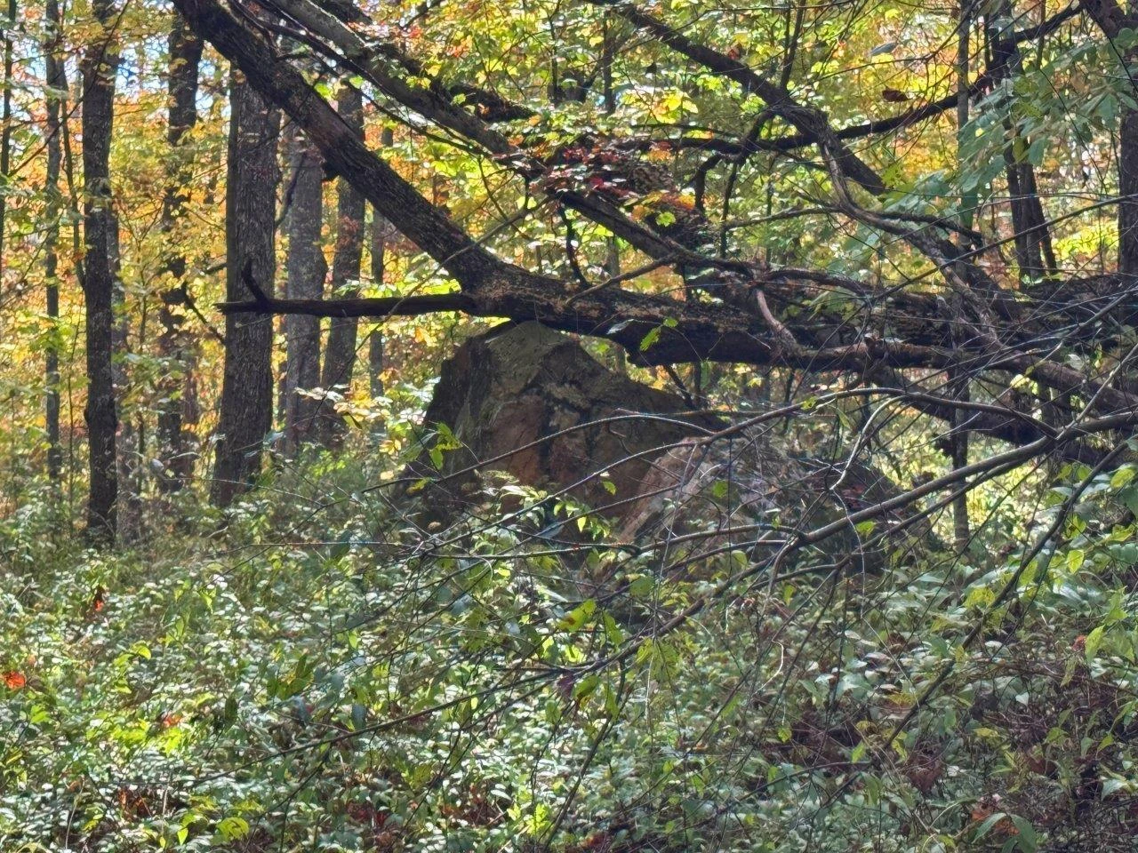 0 Pluto RD - Photo 39