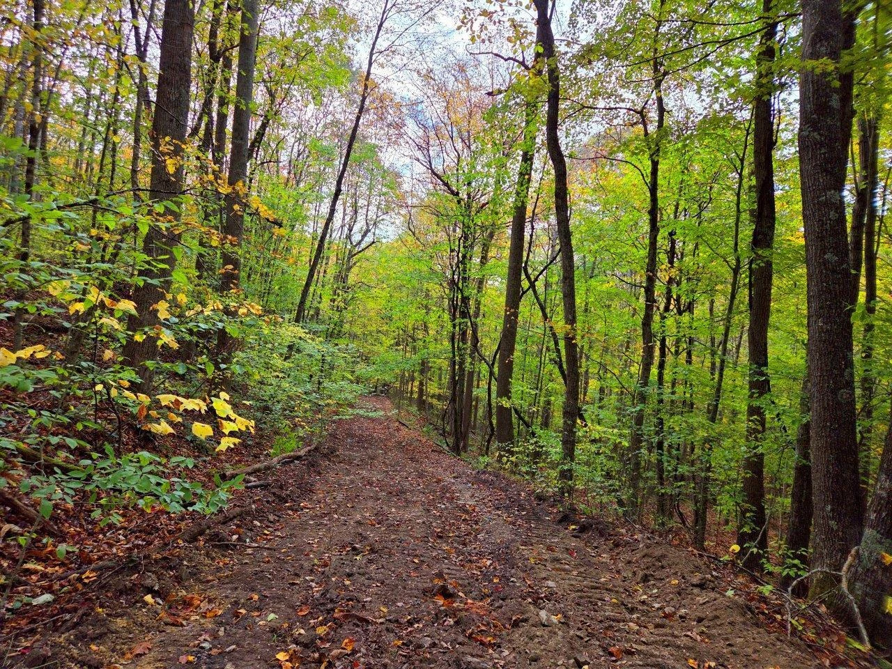 0 Pluto RD - Photo 4