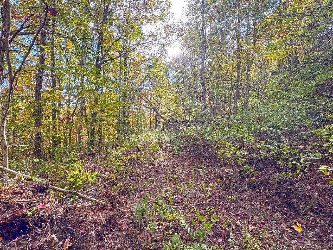 0 Pluto RD - Photo 40