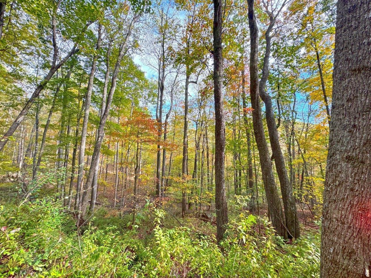 0 Pluto RD - Photo 41