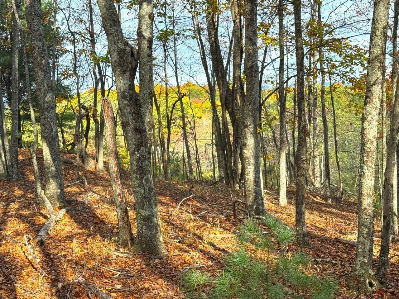0 Pluto RD - Photo 45