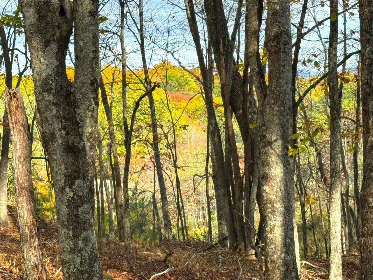 0 Pluto RD - Photo 46