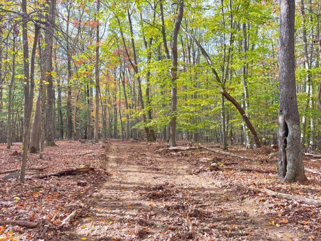 0 Pluto RD - Photo 48