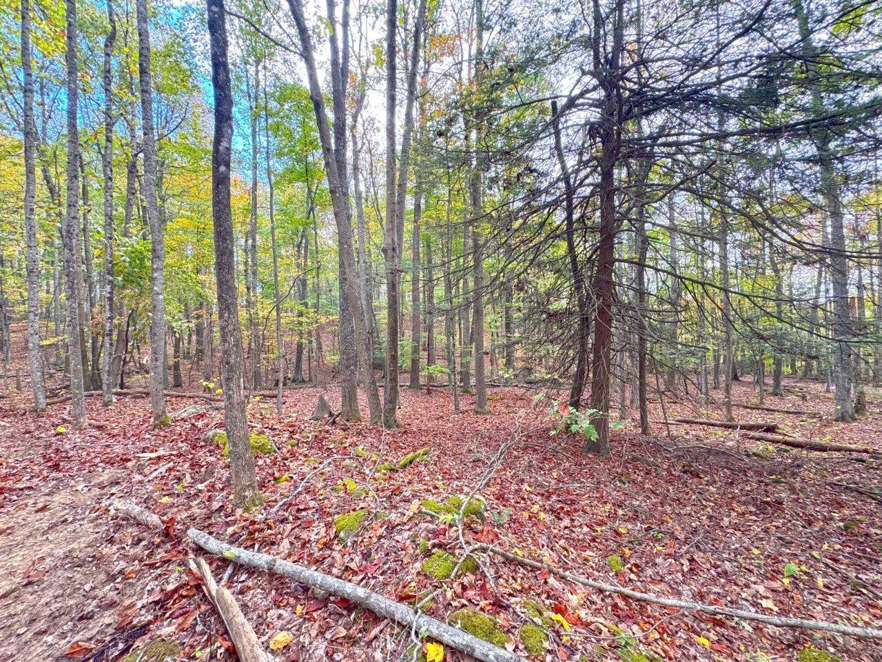 0 Pluto RD - Photo 49