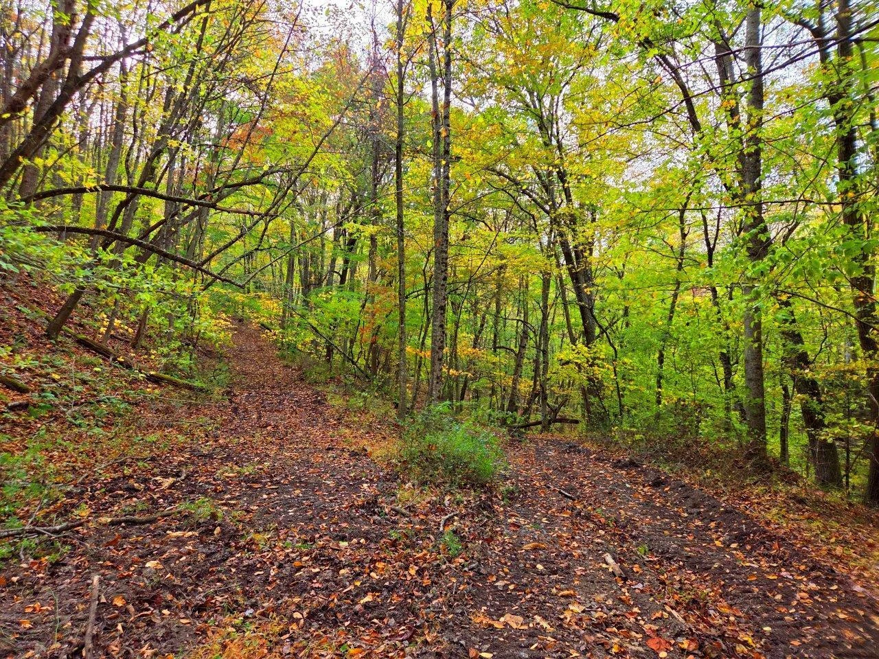 0 Pluto RD - Photo 5