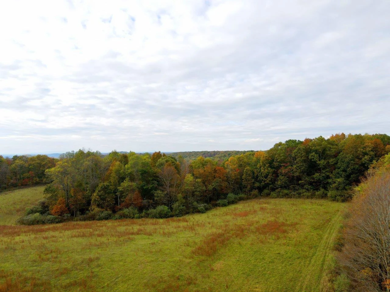 0 Pluto RD - Photo 7