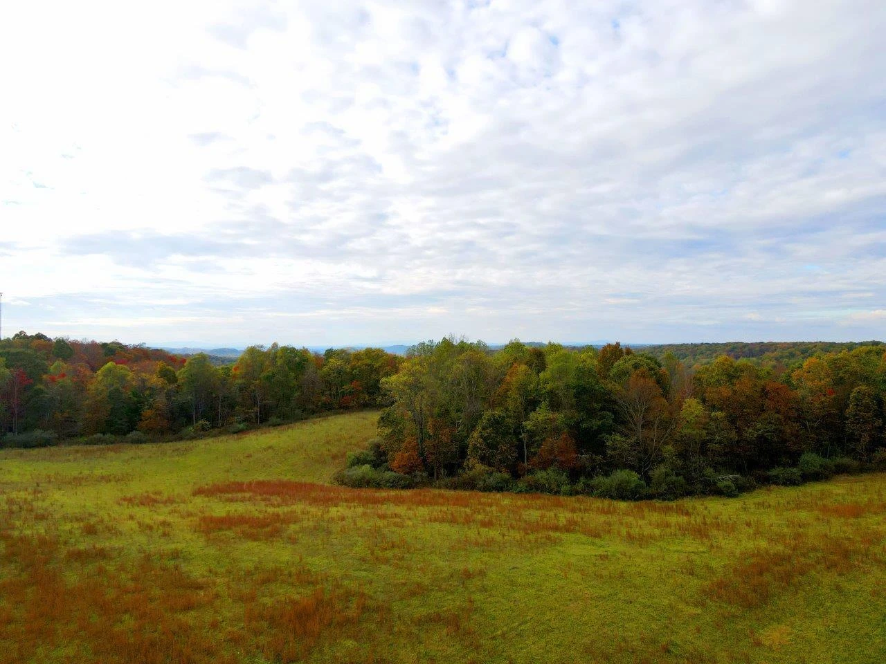 0 Pluto RD - Photo 8