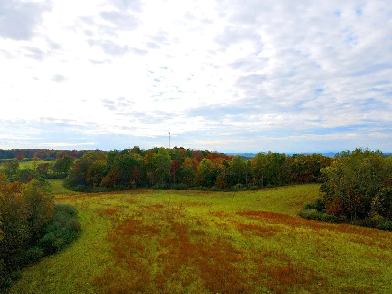 0 Pluto RD - Photo 9