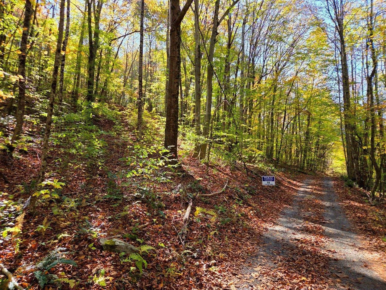 0 Backus Mountain RD