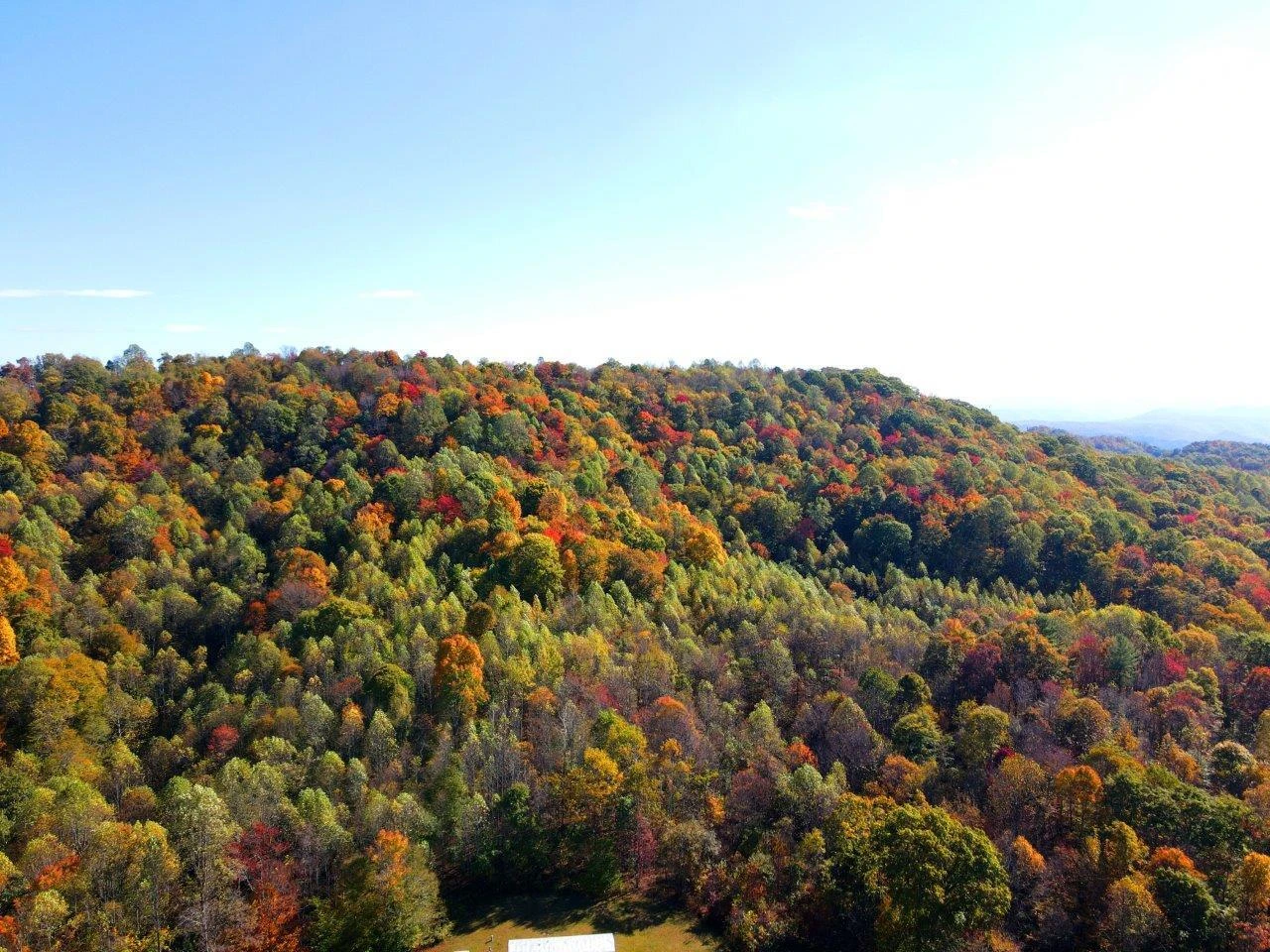 0 Backus Mountain RD - Photo 10