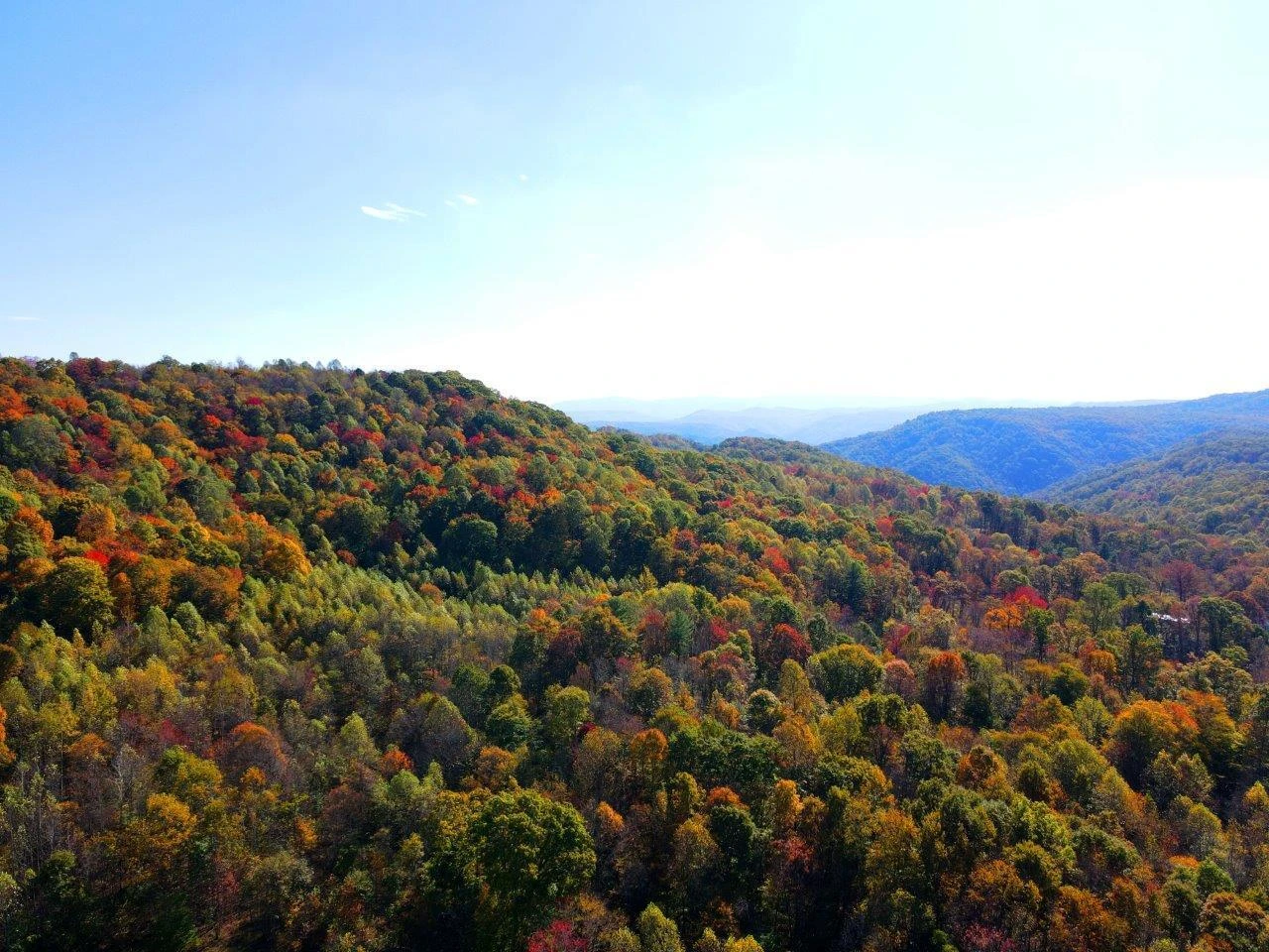 0 Backus Mountain RD - Photo 11