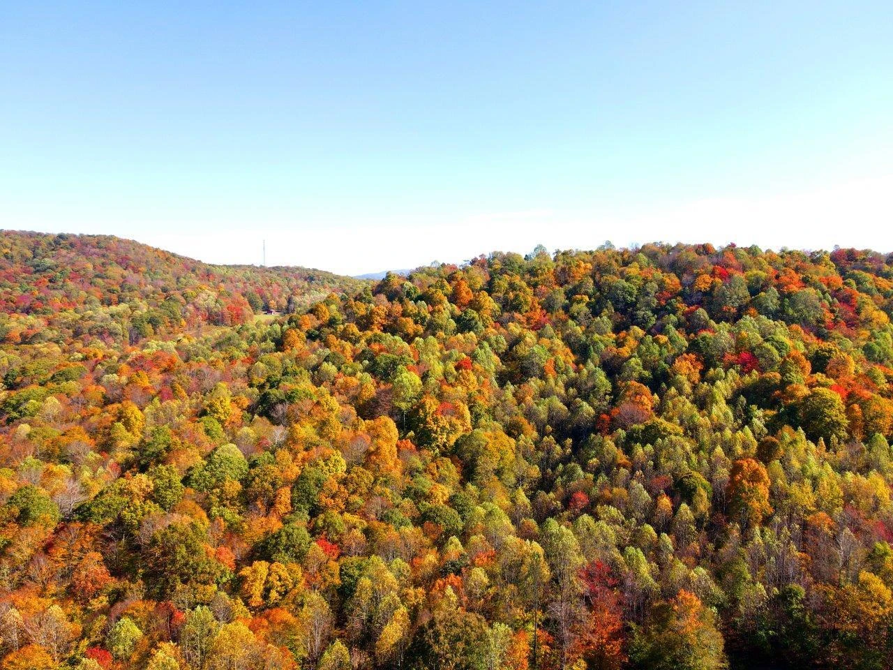 0 Backus Mountain RD - Photo 12