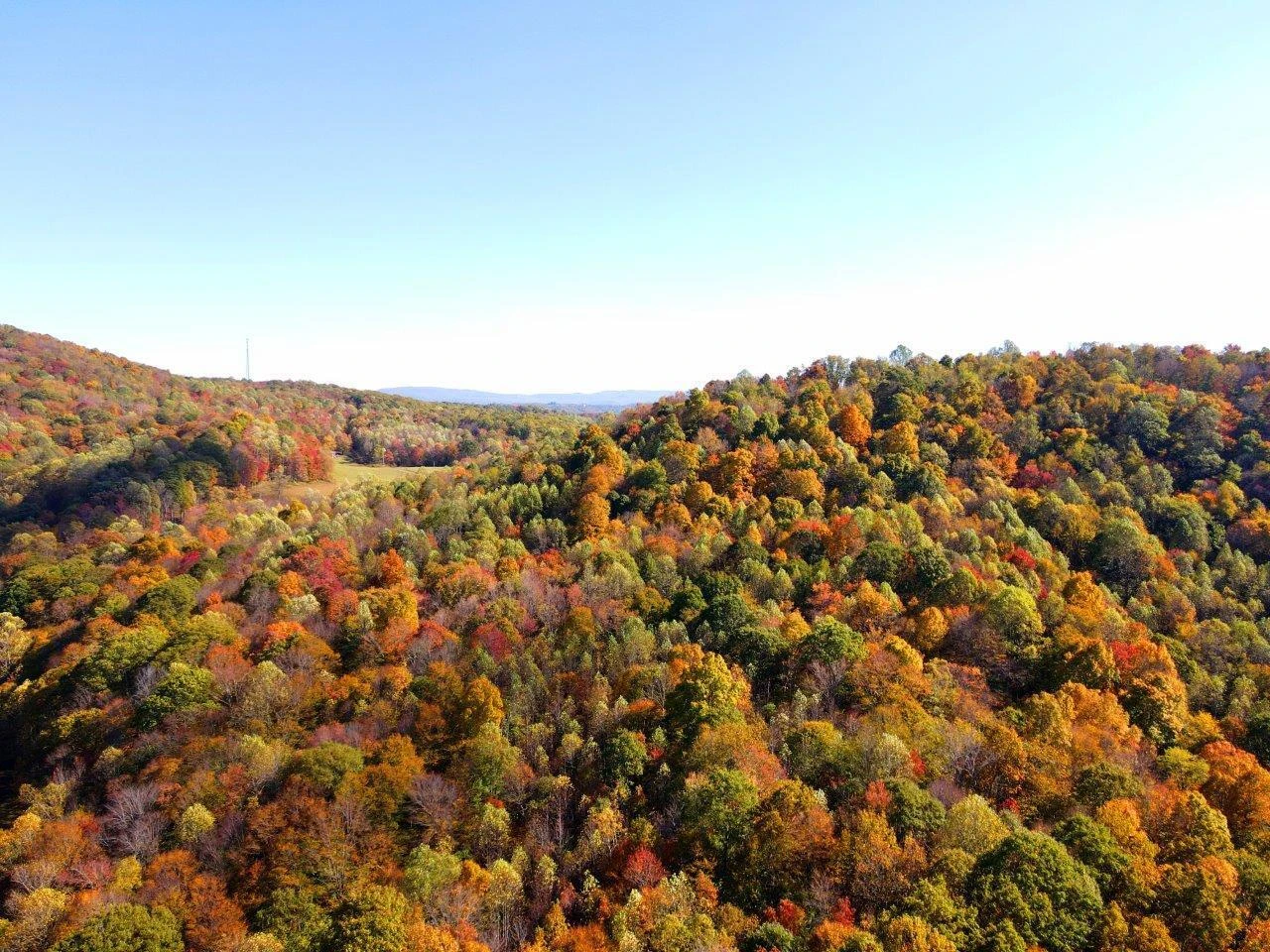 0 Backus Mountain RD - Photo 13
