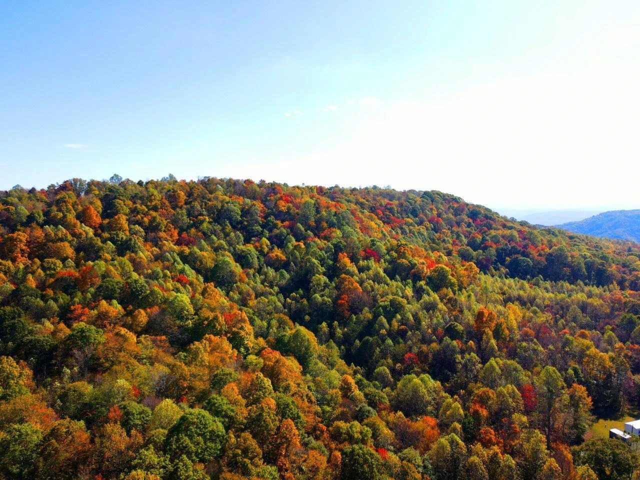 0 Backus Mountain RD - Photo 14