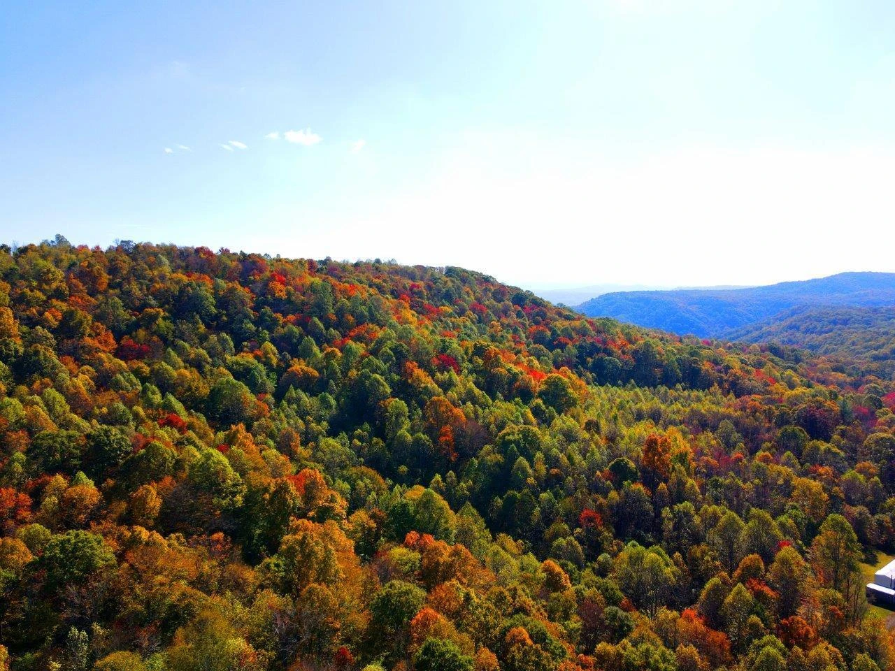 0 Backus Mountain RD - Photo 15
