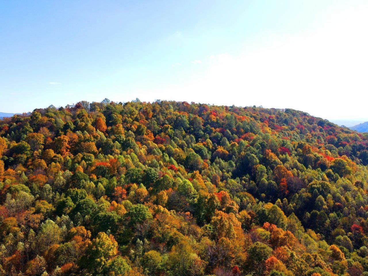 0 Backus Mountain RD - Photo 16