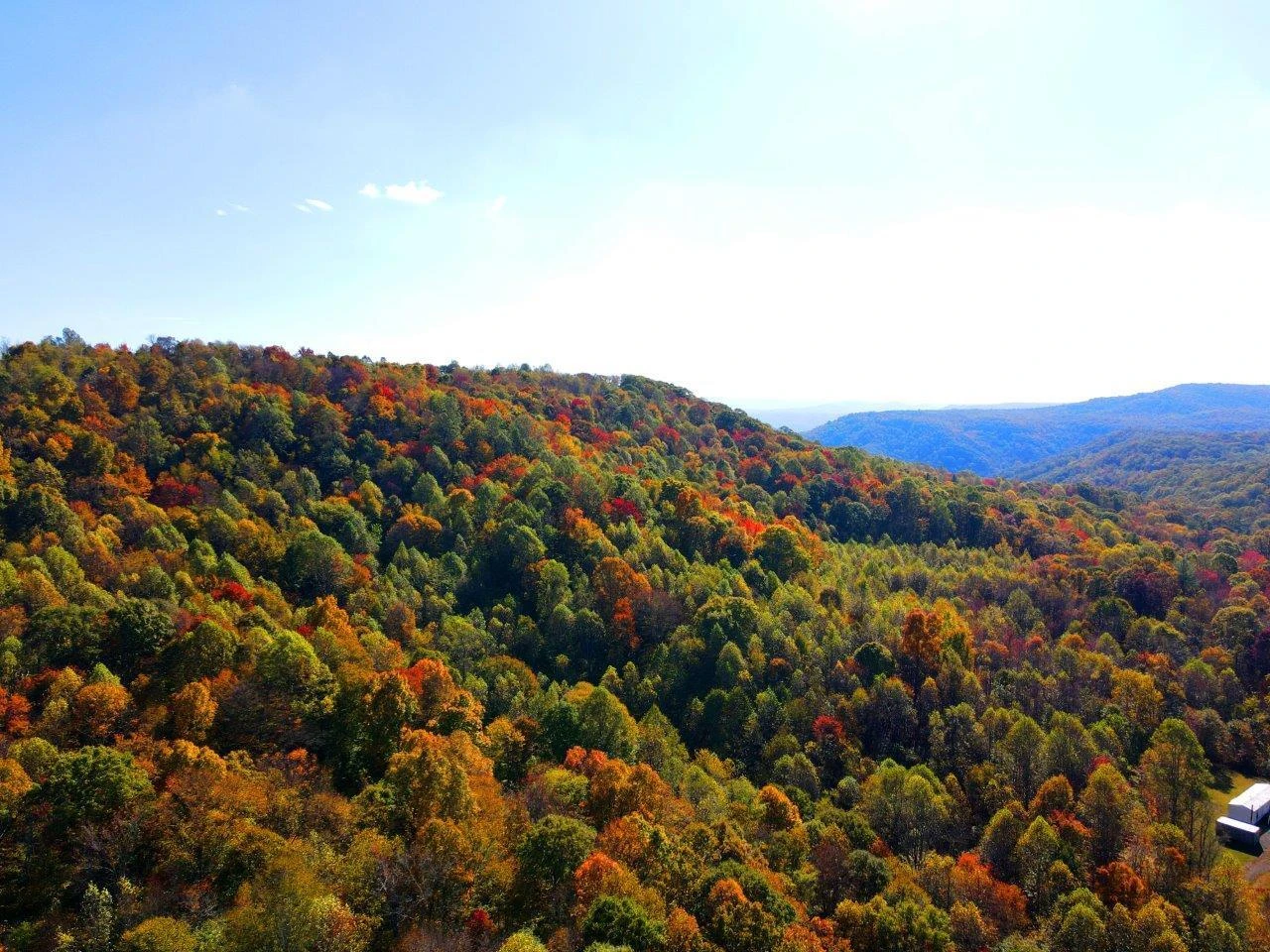 0 Backus Mountain RD - Photo 17
