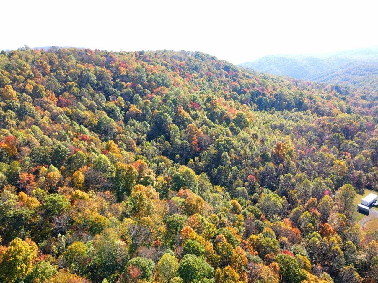 0 Backus Mountain RD - Photo 18