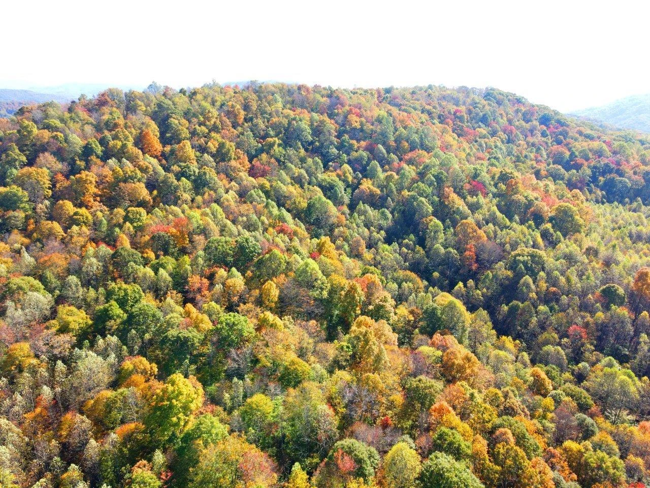 0 Backus Mountain RD - Photo 19